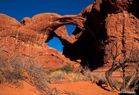 Double Arch in the Morning