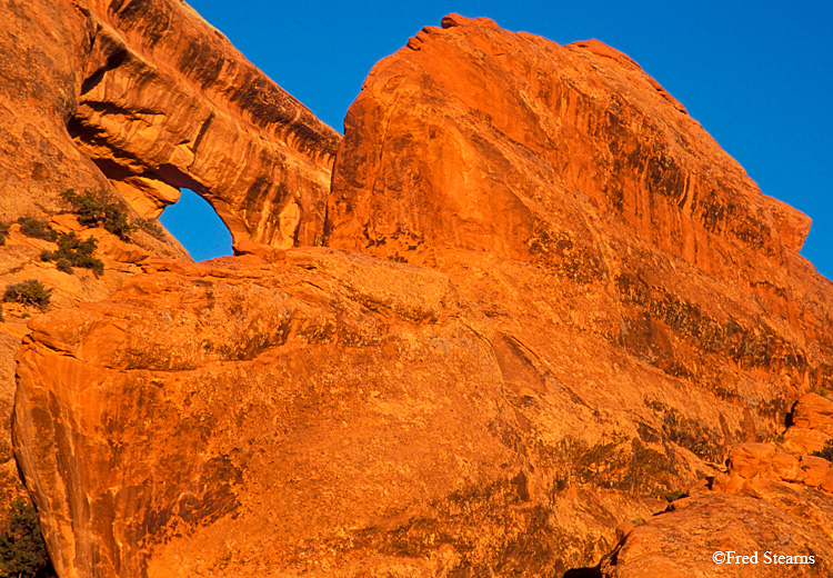 Arches NP Partition Arch