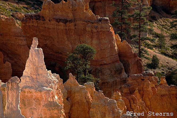 Bryce Canyon NP Sunrise Point