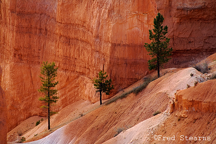 Bryce Canyon NP Sunrise Point