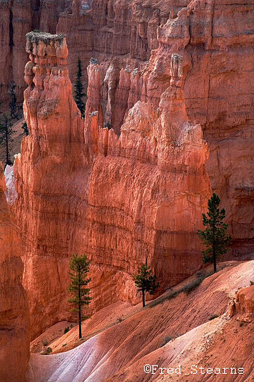 Bryce Canyon NP Sunrise Point