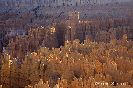 Bryce Canyon NP Sunset Point