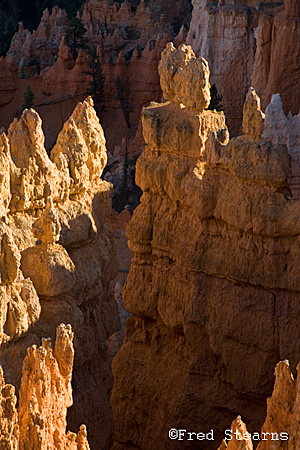 Bryce Canyon NP Sunset Point Silent City