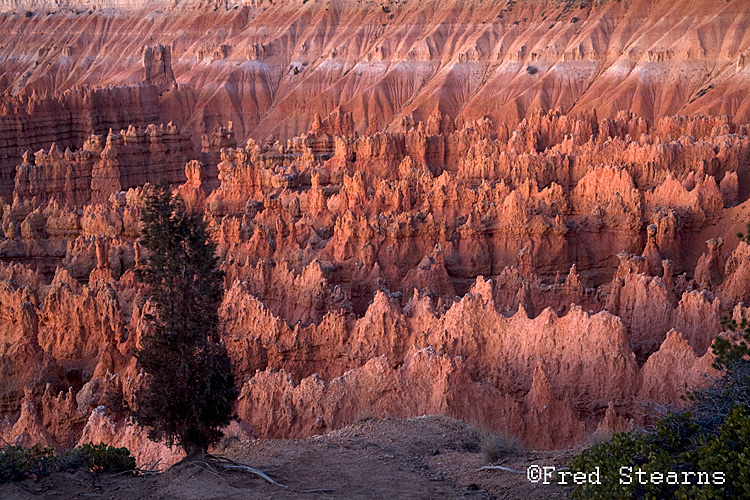 Bryce Canyon NP Sunset Point