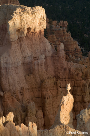 Bryce Canyon NP Sunset Point Rabbit