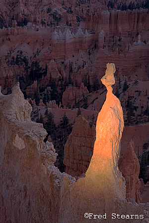 Bryce Canyon NP Sunset Point Rabbit Light Painting