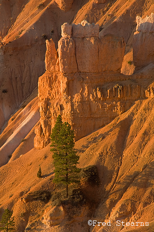 Bryce Canyon NP Sunset Point