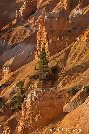 Bryce Canyon NP Sunset Point Sunrise