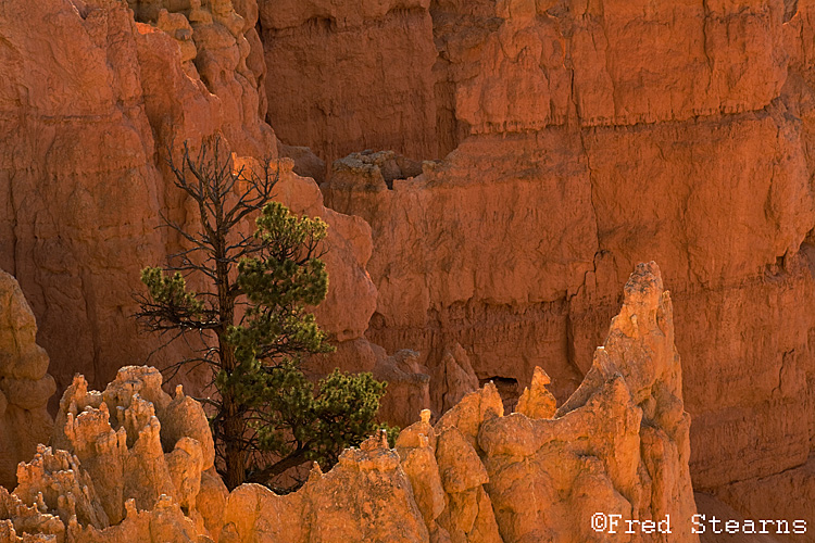 Bryce Canyon NP Sunset Point