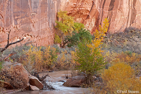 Capitol Reef National Park Fremont River Cliffs