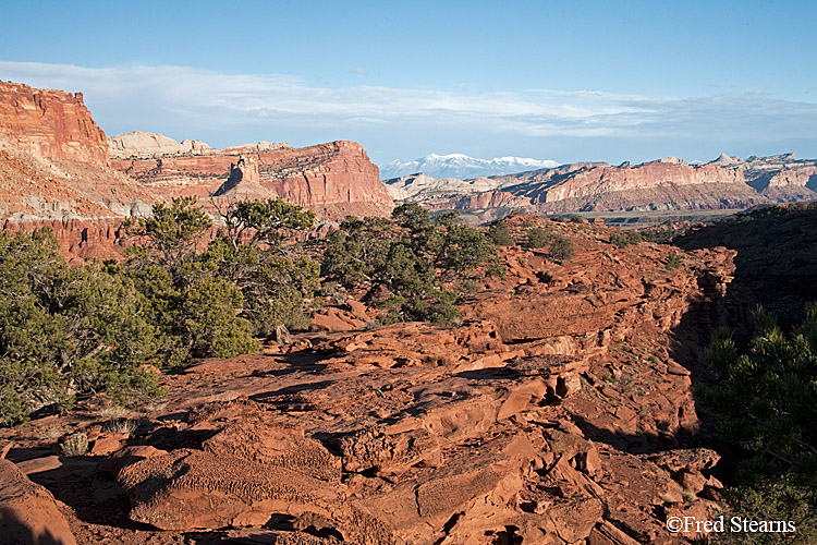 Capitol Reef National Park The Goosenecks