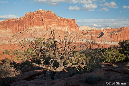 Capitol Reef National Park The Goosenecks