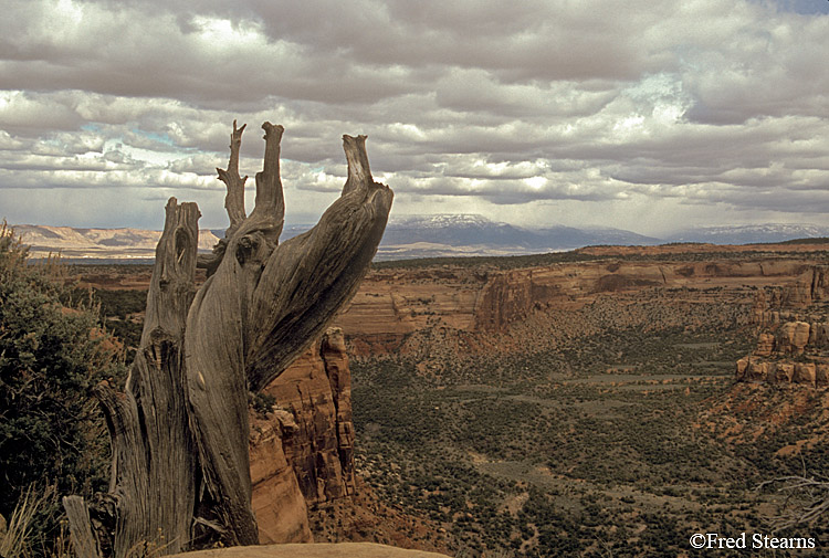 Colorado National Monument Coke Ovens