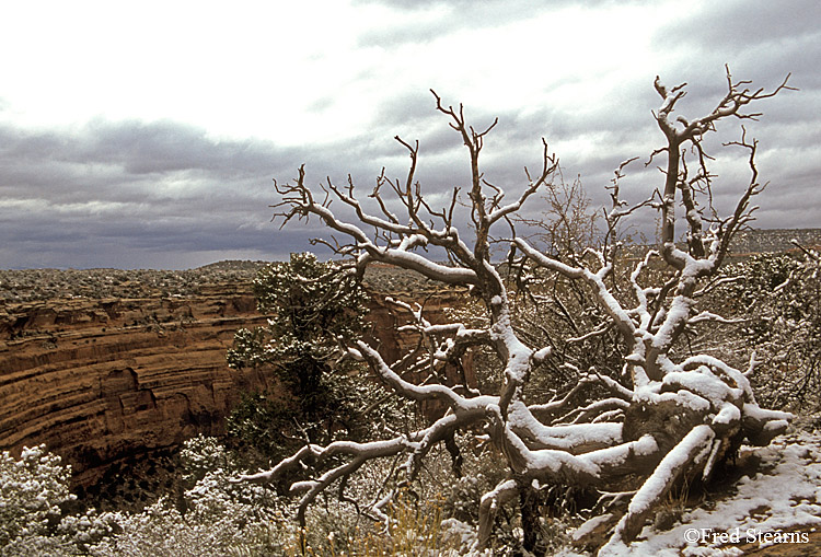 Colorado National Monument Upper Ute Canyon