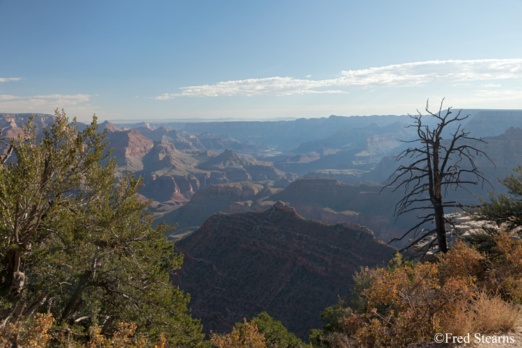 Grand Canyon National Park Grandview Point