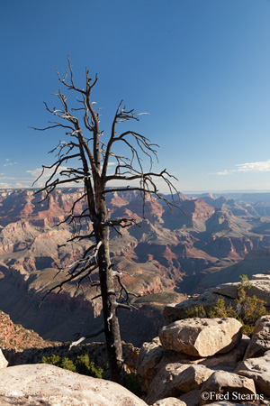 Grand Canyon National Park Grandview Point