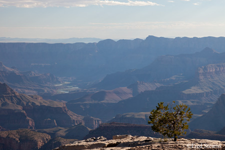 Grand Canyon National Park Grandview Point