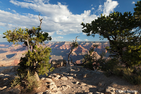 Grand Canyon National Park Yavapai Point