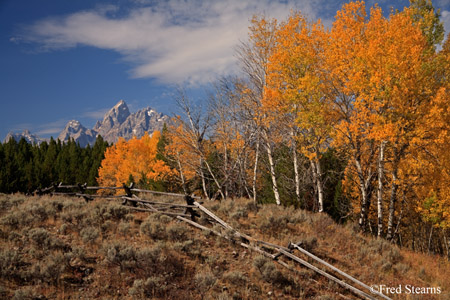 Grand Tetons NP Fall Color
