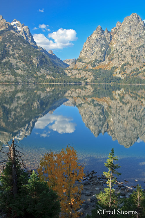 Grand Teton NP Jenny Lake Reflection