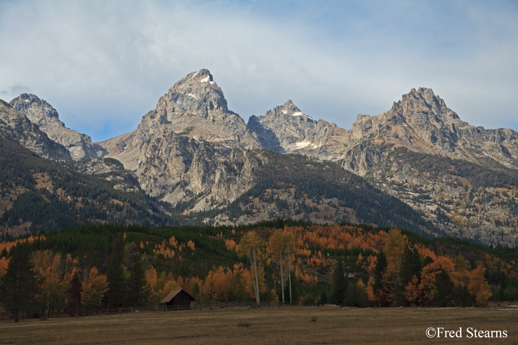 Grand Teton NP Moose Junction