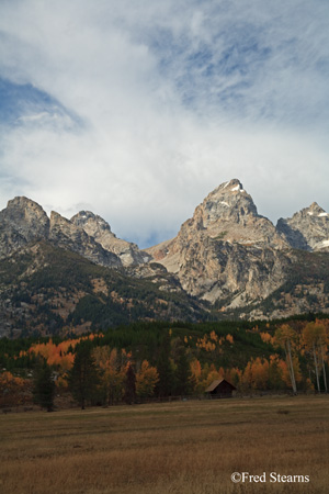 Grand Tetons NP Moose Junction