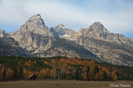 Grand Tetons NP Moose Junction