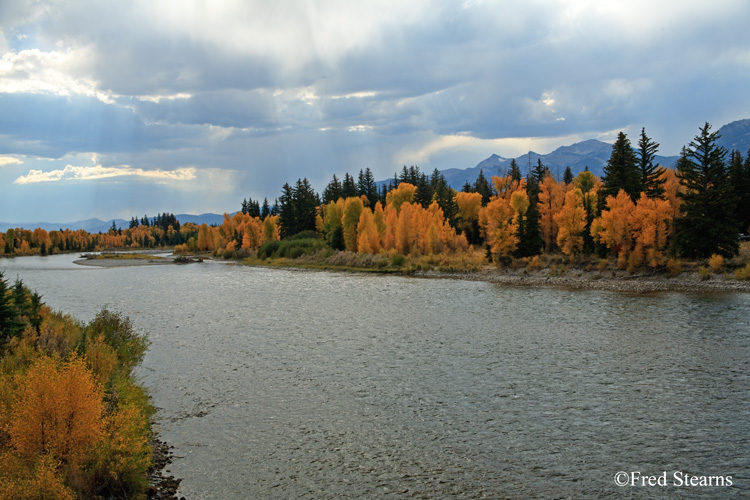 Grand Teton NP Moose Junction