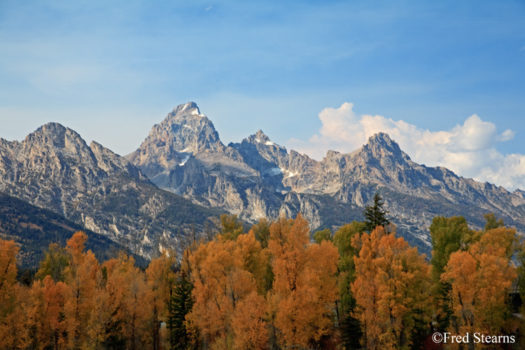 Grand Teton NP Moose Junction