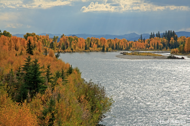 Grand Teton NP Moose Junction