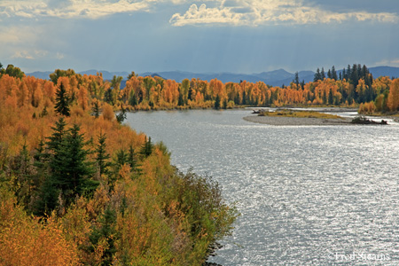 Grand Tetons NP Moose Junction