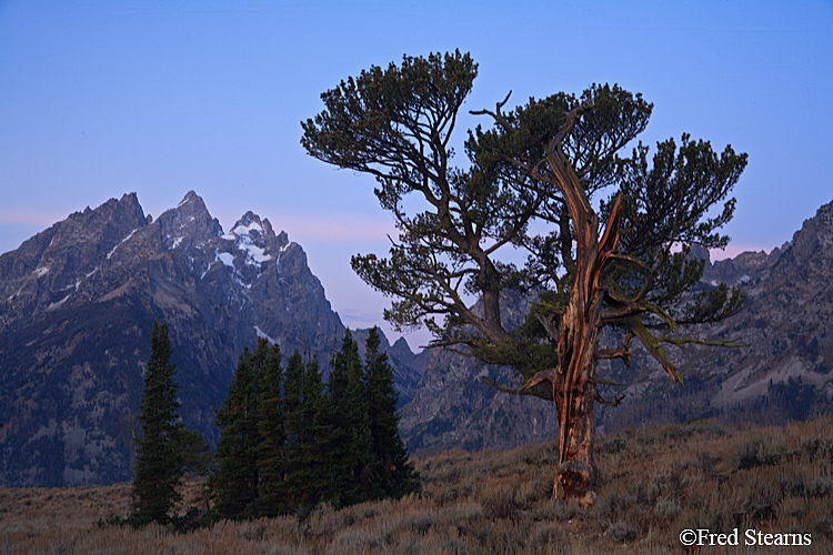 Grand Teton NP Old Patriarch