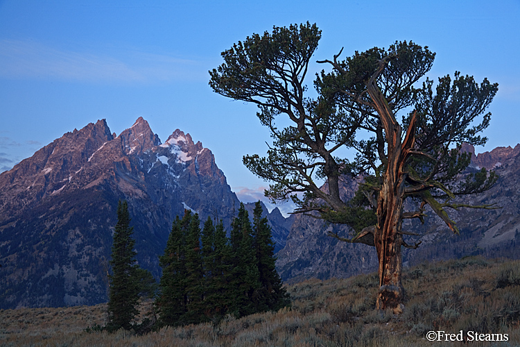 Grand Teton NP Old Patriarch