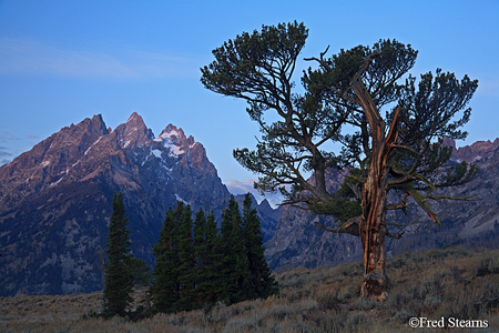 Grand Tetons NP Old Patriarch