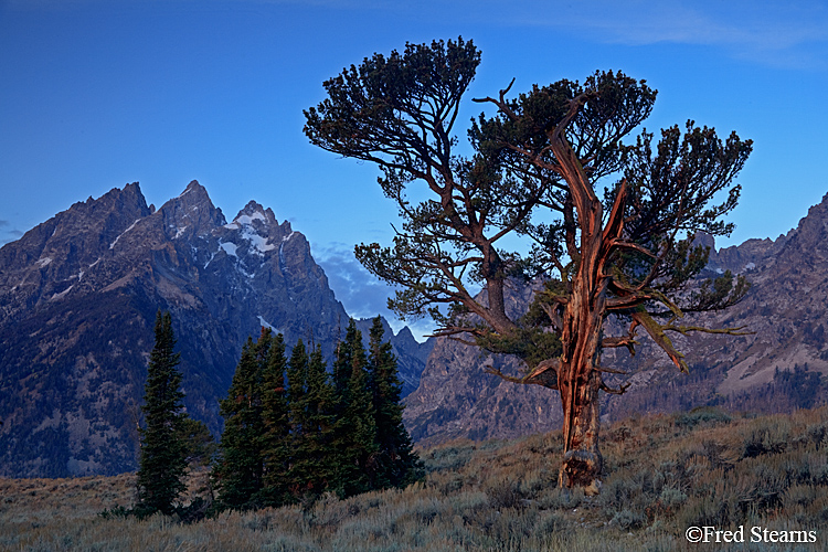 Grand Teton NP Old Patriarch