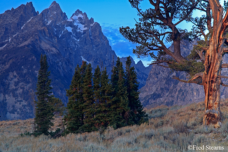 Grand Teton NP Old Patriarch