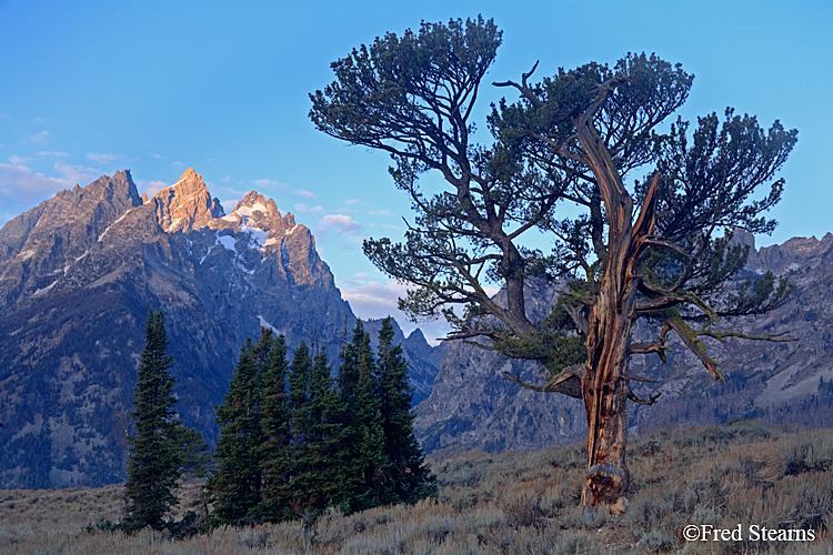 Grand Teton NP Old Patriarch