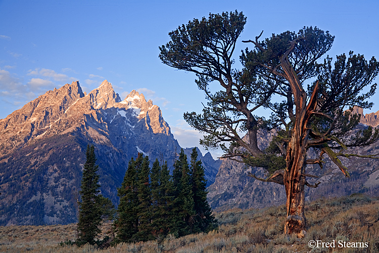 Grand Teton NP Old Patriarch