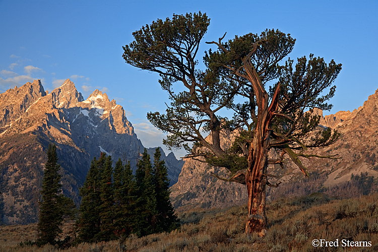 Grand Teton NP Old Patriarch