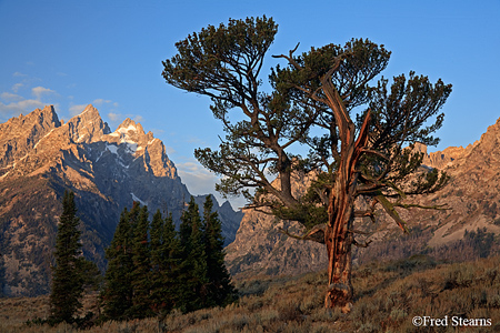 Grand Tetons NP Old Patriarch