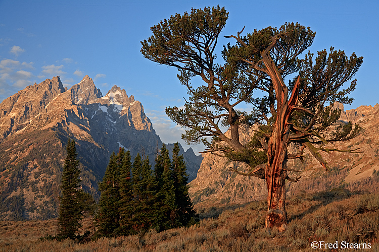 Grand Teton NP Old Patriarch