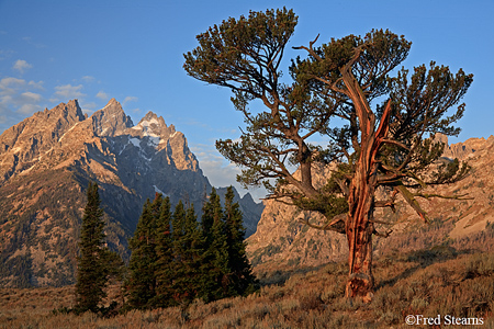 Grand Tetons NP Old Patriarch