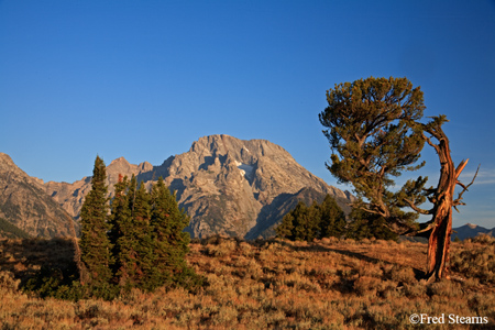 Grand Tetons NP Old Patriarch