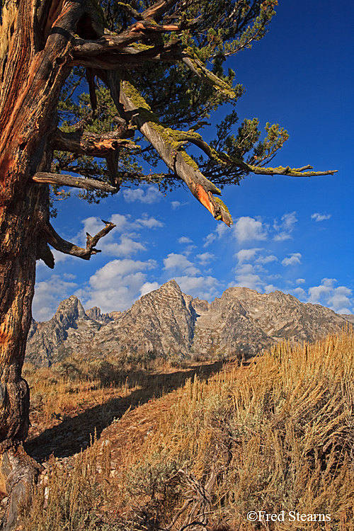 Grand Teton NP Old Patriarch