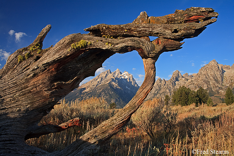 Grand Teton NP Old Patriarch