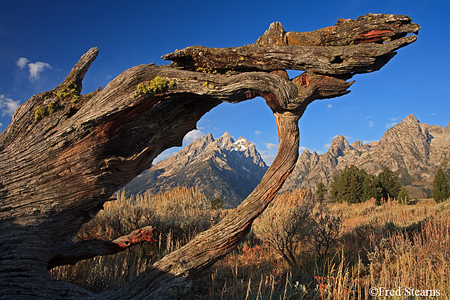 Grand Tetons NP Old Patriarch