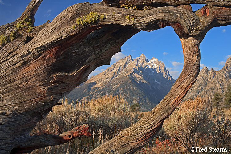 Grand Teton NP Old Patriarch