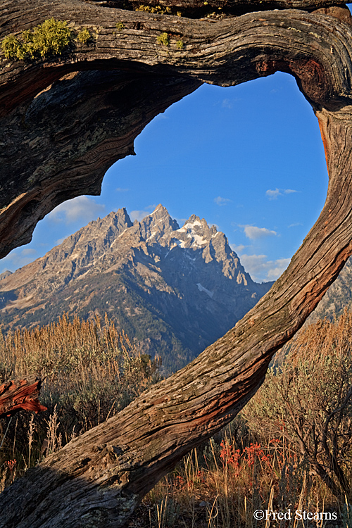 Grand Teton NP Old Patriarch