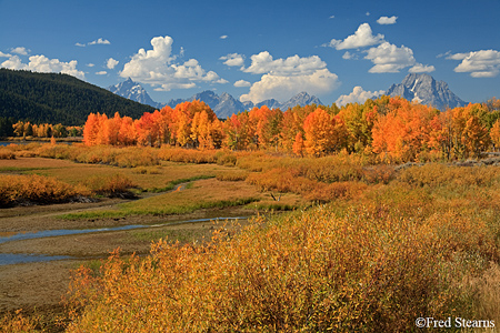 Grand Tetons NP Oxbow Bend