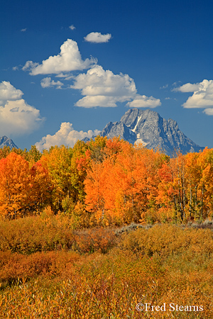 Grand Tetons NP Oxbow Bend